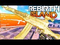 The SVT-40 is Actually BROKEN on Rebirth Island lol - *SECRET META*