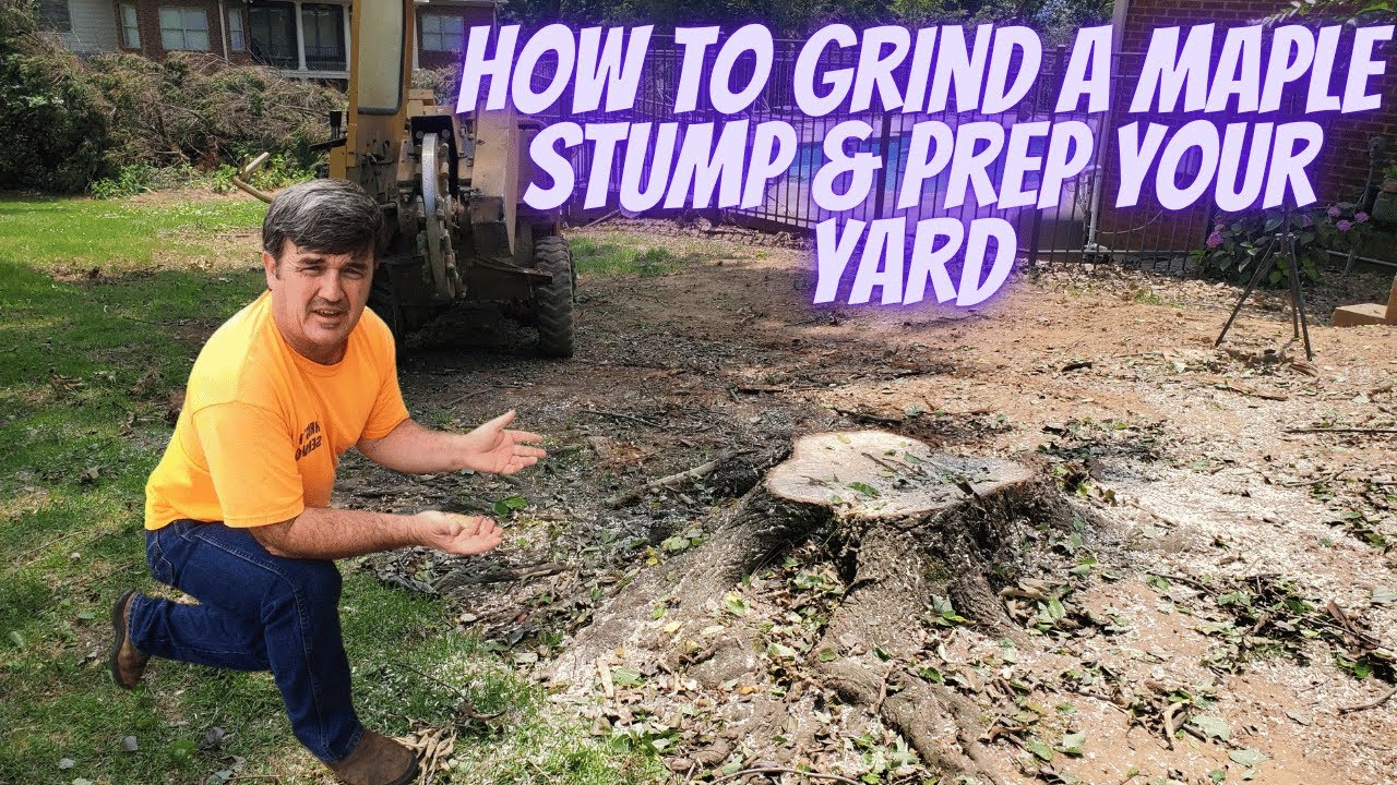 How to Grind a Maple Stump & Prep Your Yard for New Grass - YouTube