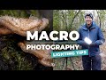 Macro Photography Lighting Tips