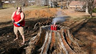 Pros Pulling Stumps vs Idiots Pulling Stumps: Skill And Extreme Fails Compilation #21