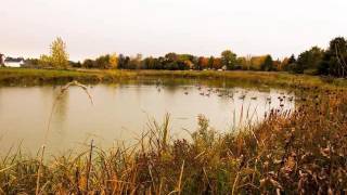 This Home In Northfield, Mn Is Stunning. 4 Bedroom, 3 Bath - Northfield Mn Zip Code