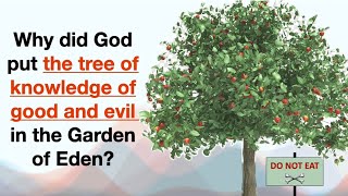 Why did God put the tree of knowledge of good and evil in the garden? #eden #garden #sin #forbidden