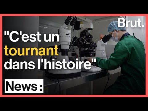 Vidéo: Une Nouvelle Génération De Porcs Génétiquement Compatibles Avec Les Humains Est Née En Chine - Vue Alternative