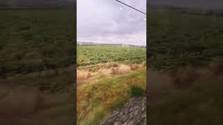 Invernaderos y campos frutales en España (La Rioja)