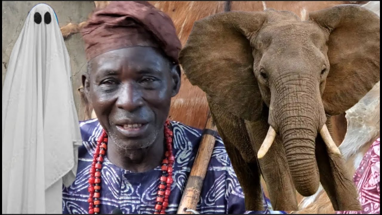 OGBOJU ODE // OKU ITARA YO SIWA NINU IGBO, ERIN AJANAKU (ELEPHANT) PA BAYO TI A JO LO OKO ODE, OJO B