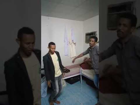 من ارض المحنه من قلب الجزيره صاقرير
