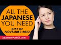 Your Monthly Dose of Japanese - Best of November 2022