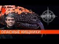 Опасные животные. НИИ РЕН ТВ (21.11.2019).