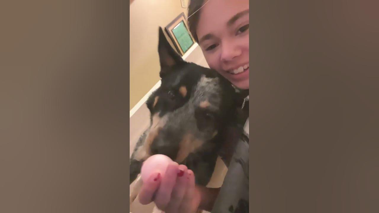 My dog tried to eat my Chapstick when I kissed her YouTube