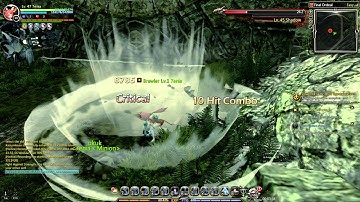 Dragon Nest - Defensio skills