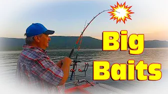 What Happens When You Use a Giant Bait for Catfish?