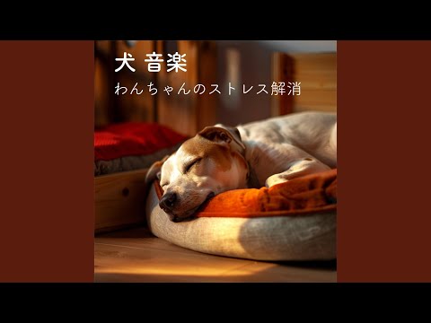 Ver 夜の静けさ no YouTube