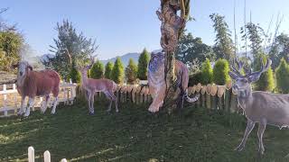 Download Lagu BYE 75 Lümkeh müzeh 2uba Thüpcheh LBC MP3