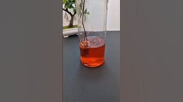 DC mixer motor | #dcmotor #techexperiments #experiment #dcmixer #mixer