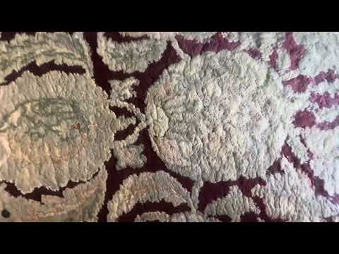 A VHS Tape I M Watching Today 9 20 2024