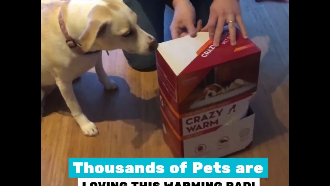 The Green Pet Shop - Crazy Warm Pad!