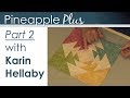 Pineapple Plus - Part 2 with Karin Hellaby
