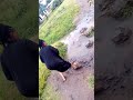 Maisha Nikama Muvi Leo Kwako Kesho Kwangu 