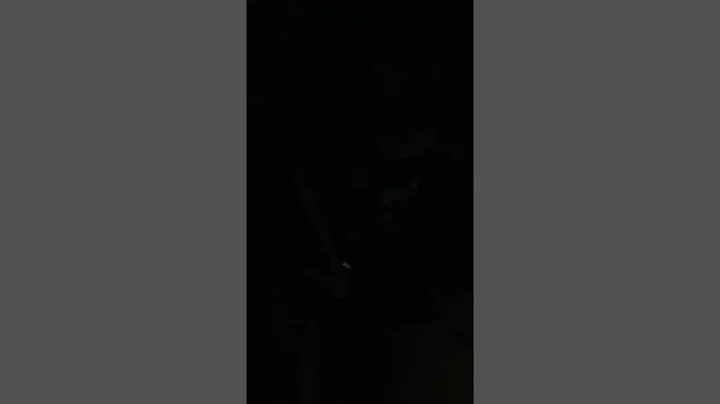 Moonlight
