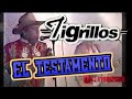 Tigrillos El Testamento