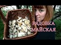 РЯДОВКА МАЙСКАЯ. Чем отличается Рядовка майская от Энтоломы садовой