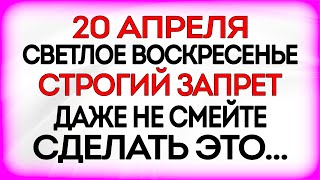 : 20   .    20 .    