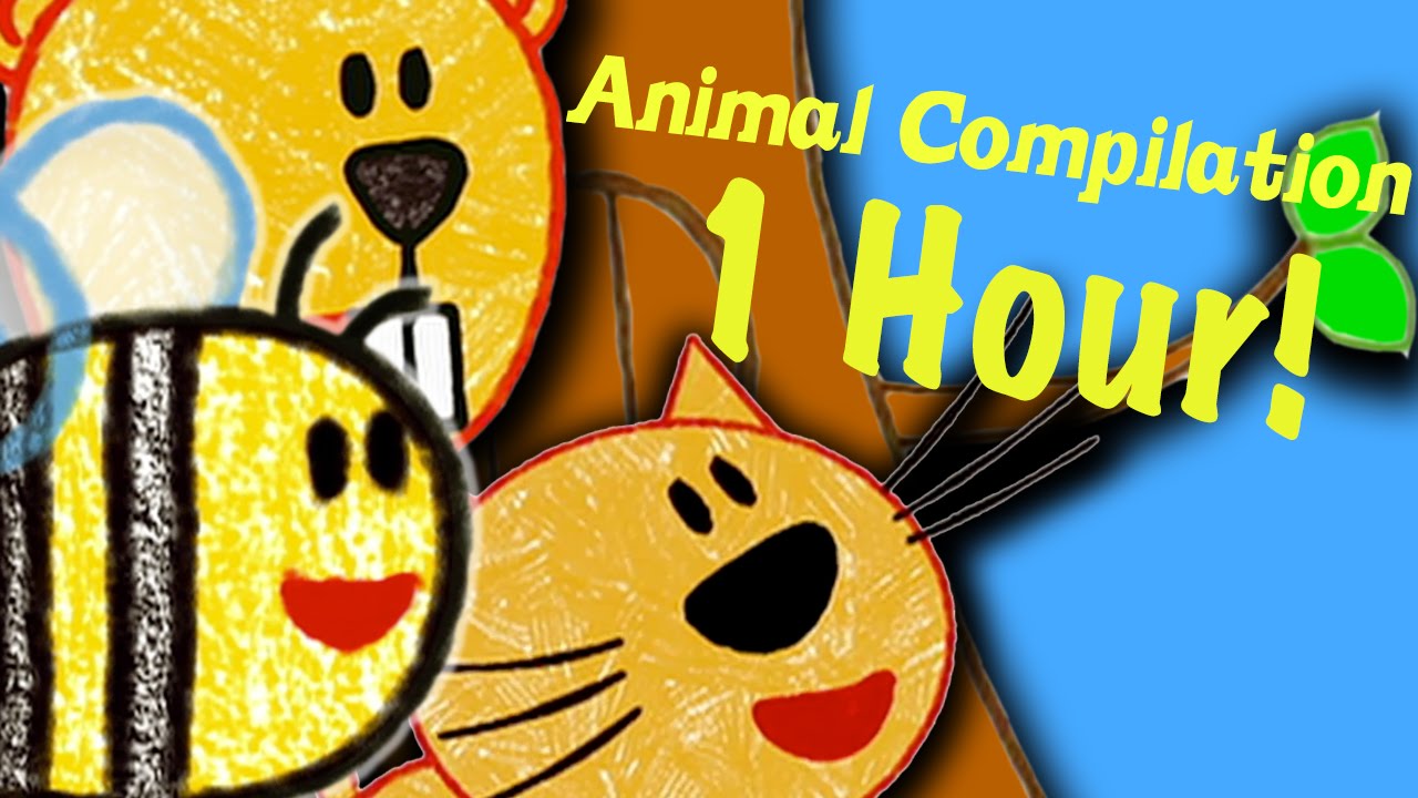 Amazing Animals Episode Compilation YouTube