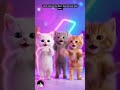 Little kitty on the floor, feel the beat drop low... #cat #catdance #cutecats #catshorts #gatos