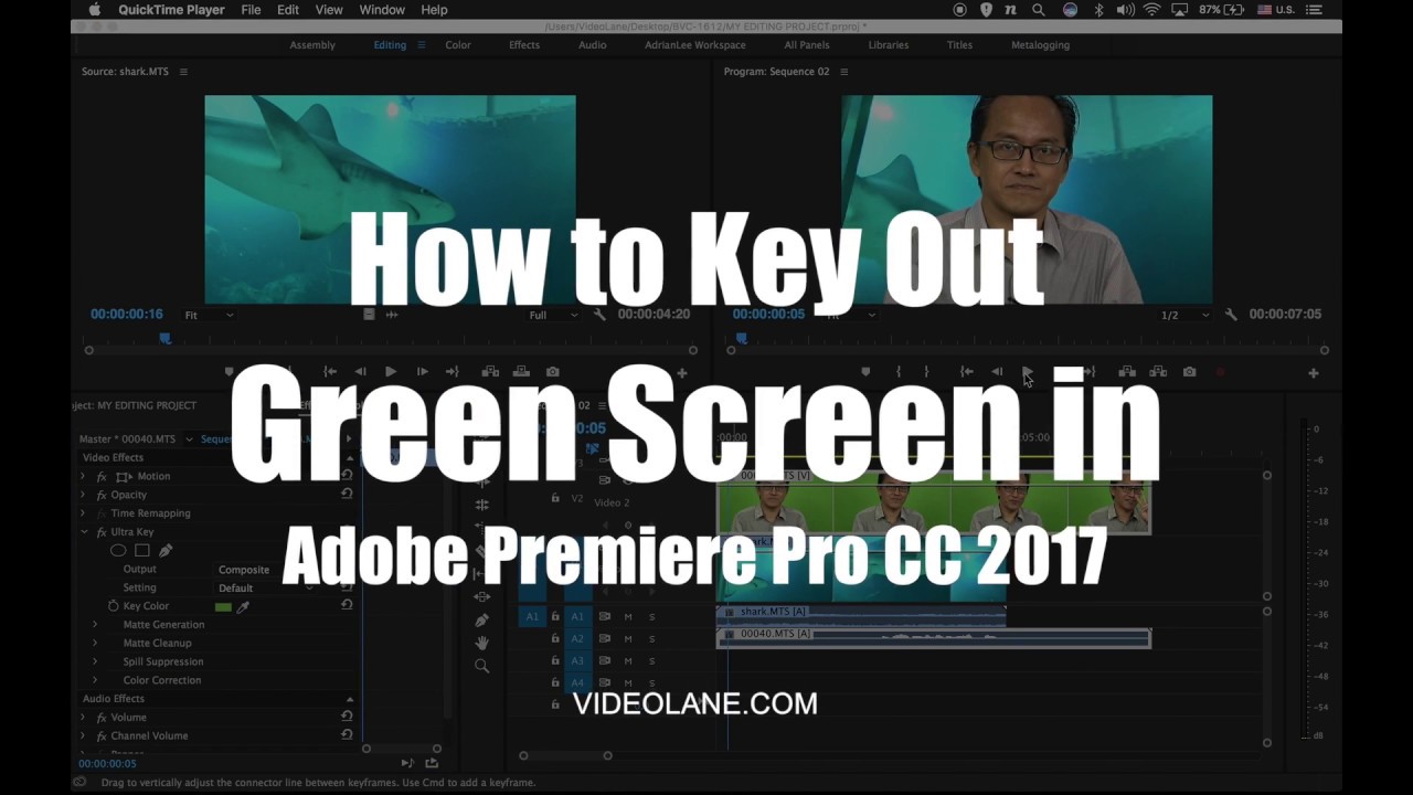 adobe premiere pro cs4 green screen