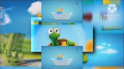 Scan Vs Round 506-1260