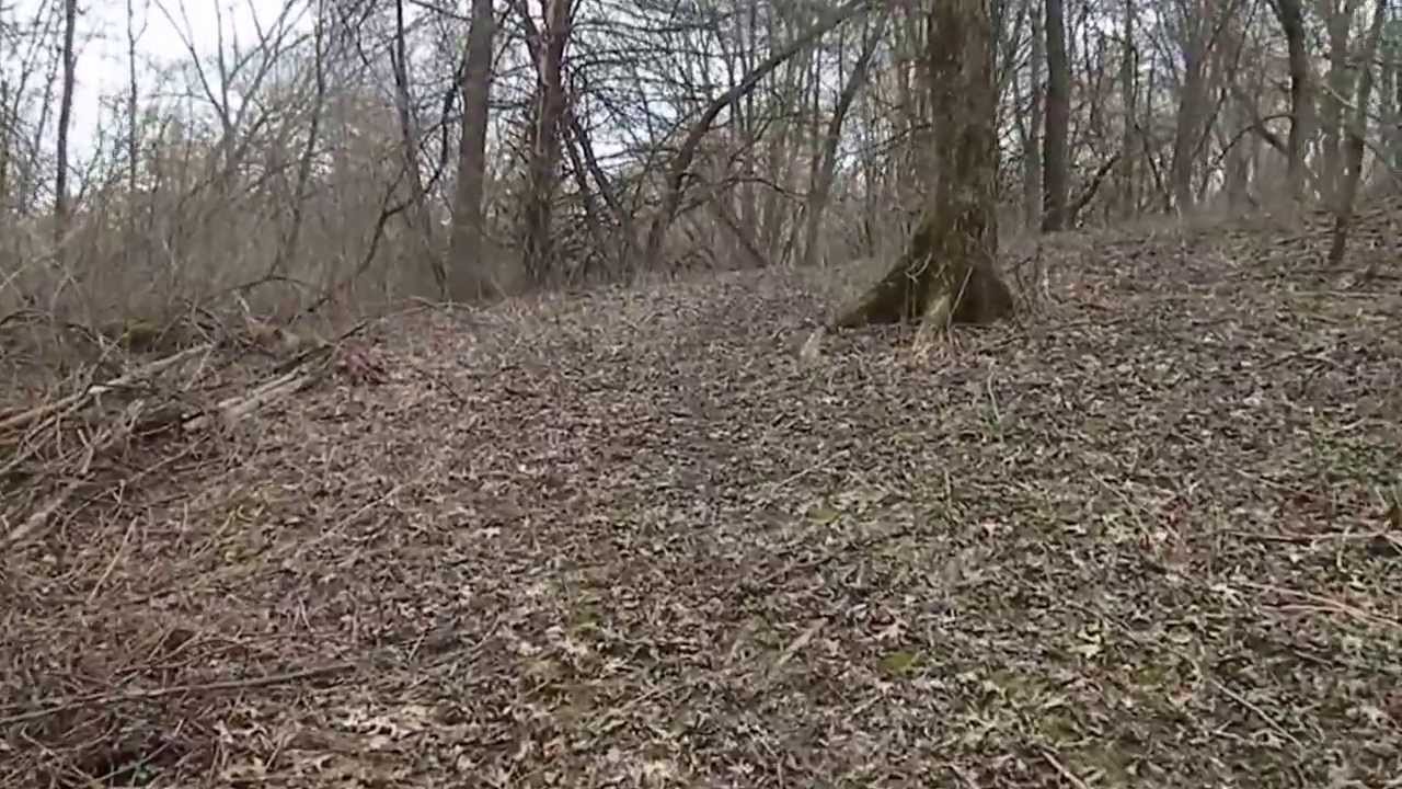 4.6 Acre Lot For Sale Near Madison, WI, Sauk City WI YouTube