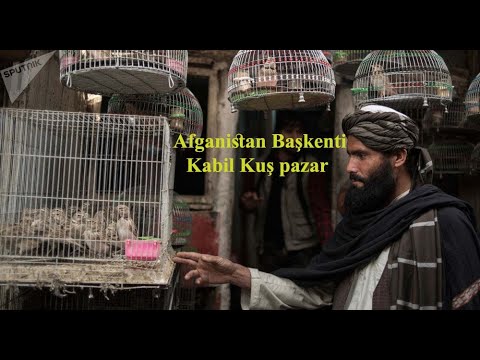 Afganistan Başkenti Kabil Kuş pazar’ina geldik