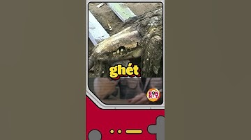 SCP 682 vs SCP 001 When day breaks - Phần 5 #bonnut #suthatthuvi #SCP