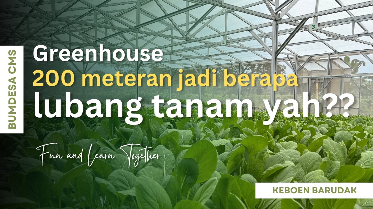 Greenhouse 200 meteran jadi berapa lubang tanam yah?? 