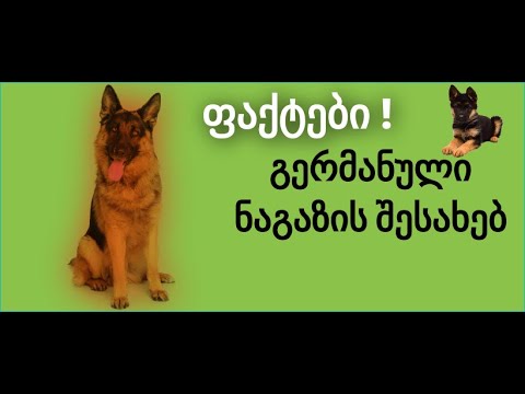 ფაქტები გერმანული ნაგაზის შესახებ !
