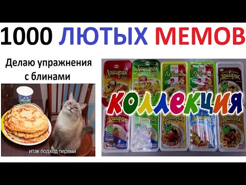 Видео: 1000 лютых МЕМОВ с канала Макса Максимова МЕГАПОДБОРКА