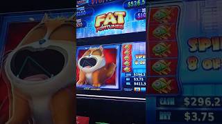 "Fat fortunes" "fat cat feature" major victory ✌️ #fypシ゚viral #fyp #usa #youtubeshorts #funny #laugh screenshot 1