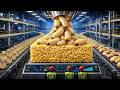 Inside the Coconut Worm Factory ｜ How Fatty Worms Are Turned Into Instant Noodles Full Process
