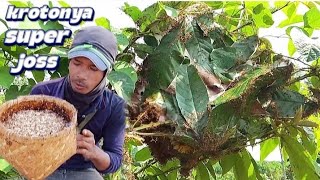 mantap,,lanjut ngebolang hasilnya gk kelawan.!! 