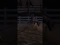 😝🤪🤪😎😎 #cavalo #funk #cavalos #vaquejada #music #vaqueiro #vaqueiros #vaquejadaaovivo #cavalos
