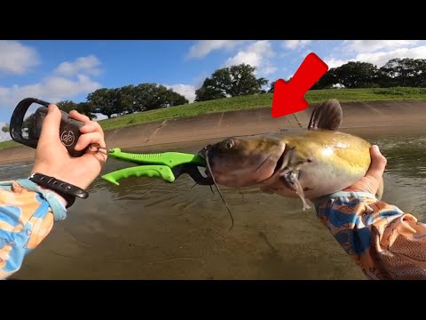 Catching GIANT Catfish In a Concrete Bayou!