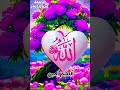 #دعاء ثاني جمعة من شهر ذي الحجة #دعاء_يوم_الجمعة#دعاء#دعاء_مستجاب#صلوا_على_النبي# حالات_واتس#اكسبلور