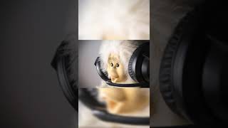 Fart Sound Effects #2