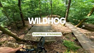 Wildhog 🔵🔴⚫ Flowtrail Stromberg Trail Review ganze Strecke Full Run POV RAW