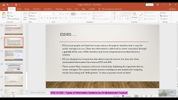 Executive Information Systems ( ESS)