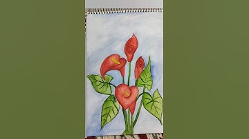 How to Draw Lily flowers #shorts #drawing Callay lily. Art Gallery.