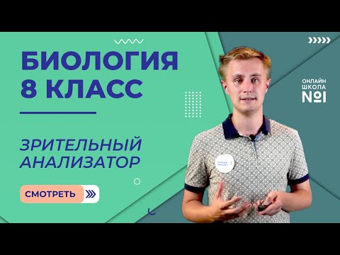 Зрительный анализатор. Видеоурок 7. Биология 8 класс