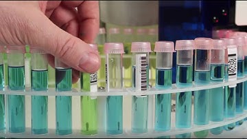 Autoflex R837 Laboratory Automation Density Refractive Index Optical Rotation vUL9uiIL4S4 x264