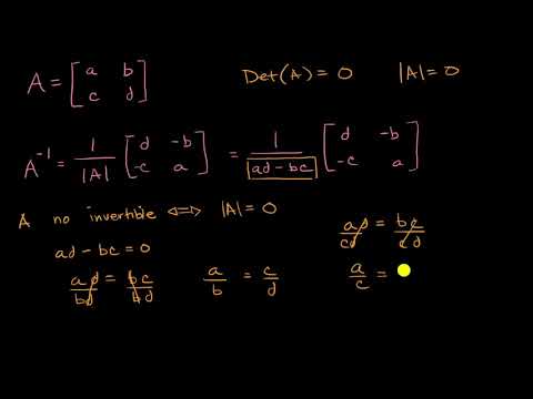 Video: ¿Todas las matrices son invertibles?
