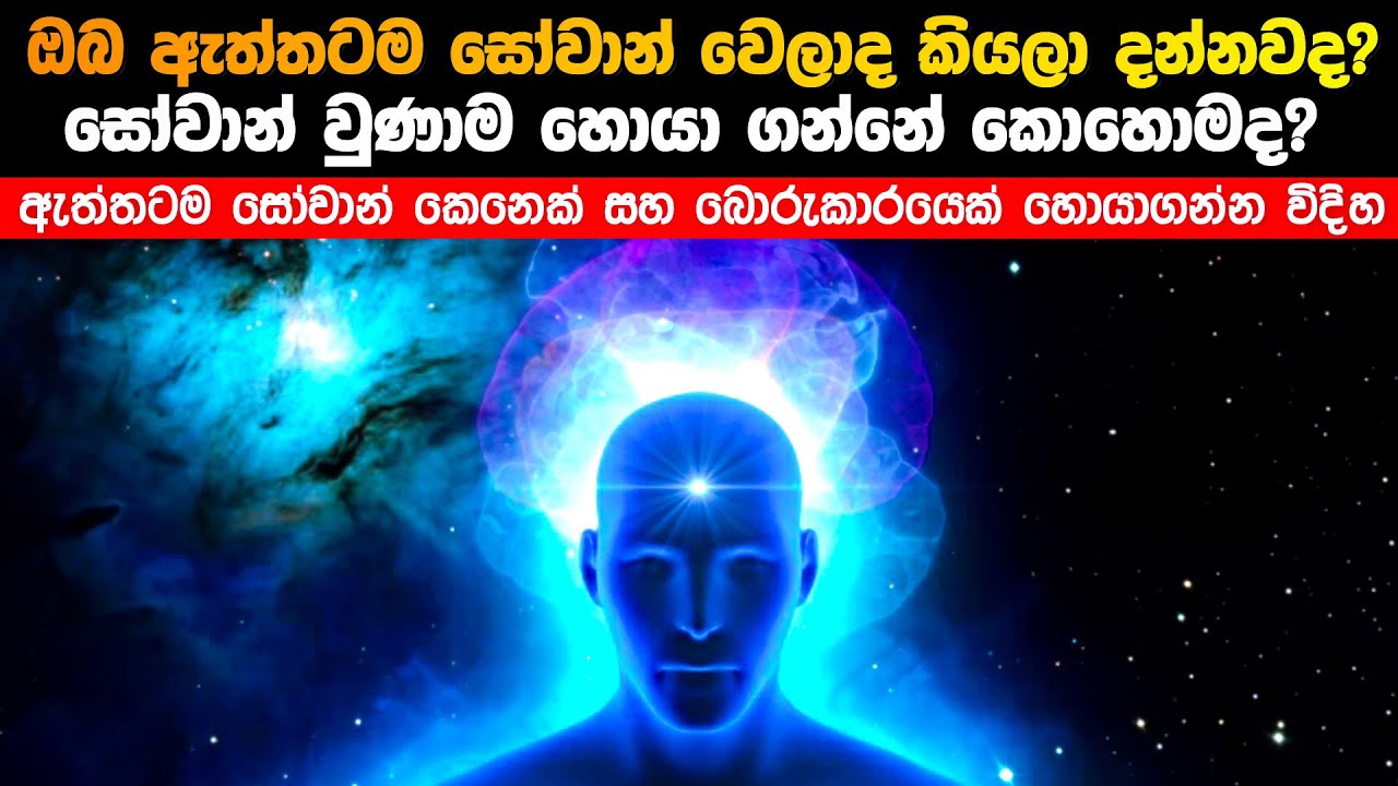 ඔබ ඇත්තටම සෝවාන් වෙලාද කියලා දන්නවද? සෝවාන් වුණාම හොයන්නේ කොහොමද?